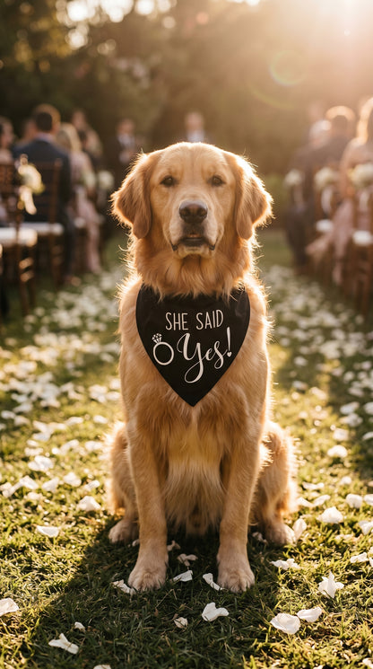 Dog Bandana & Tuxedo