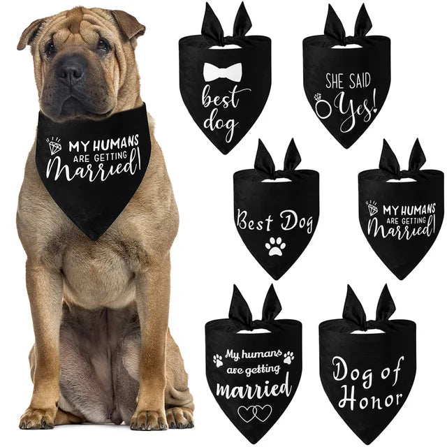Dog Bandana & Tuxedo