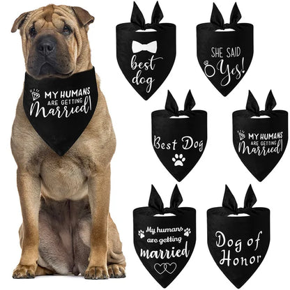 Dog Bandana & Tuxedo