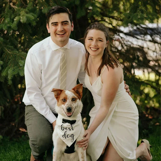 Dog Bandana & Tuxedo
