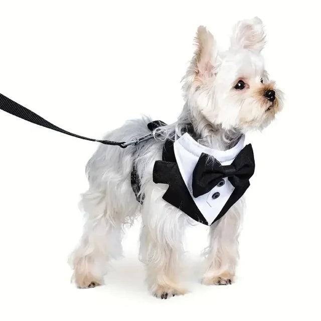 Dog Bandana & Tuxedo