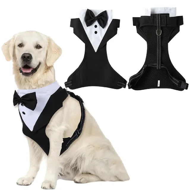 Dog Bandana & Tuxedo