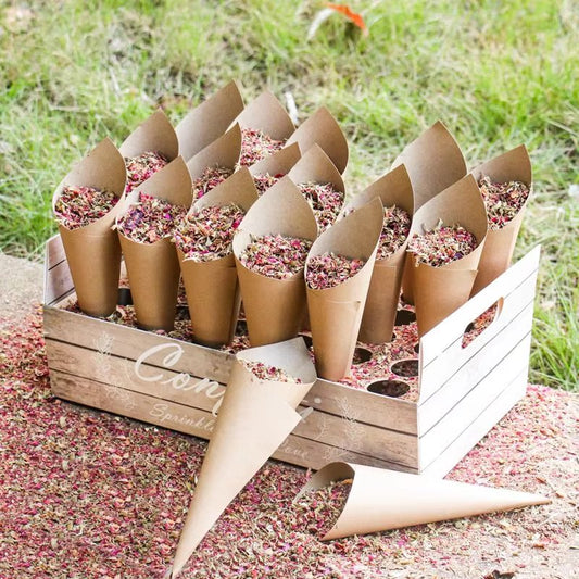 Confetti Cone Holder & Cones